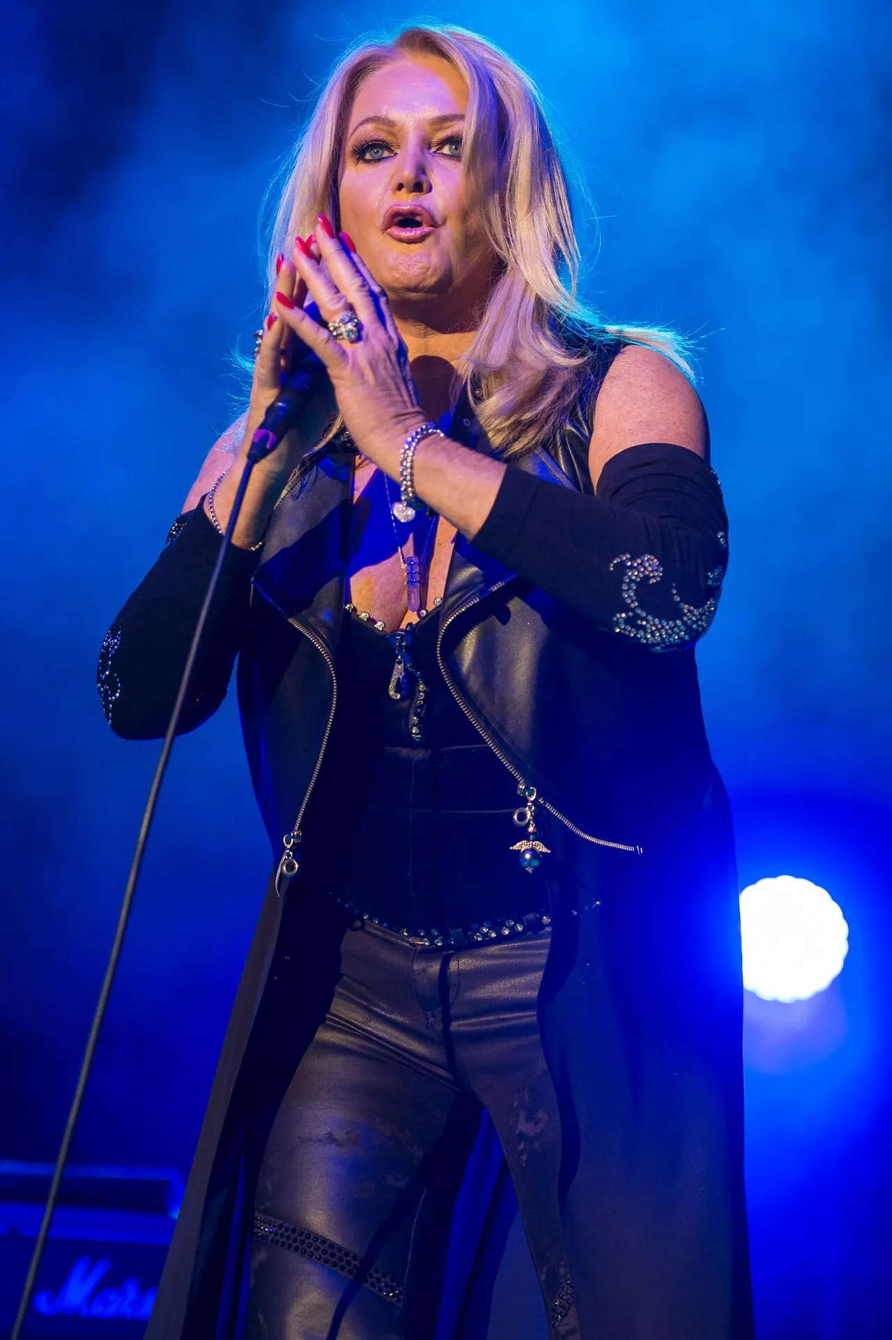Bonnie Tyler live, 2016
