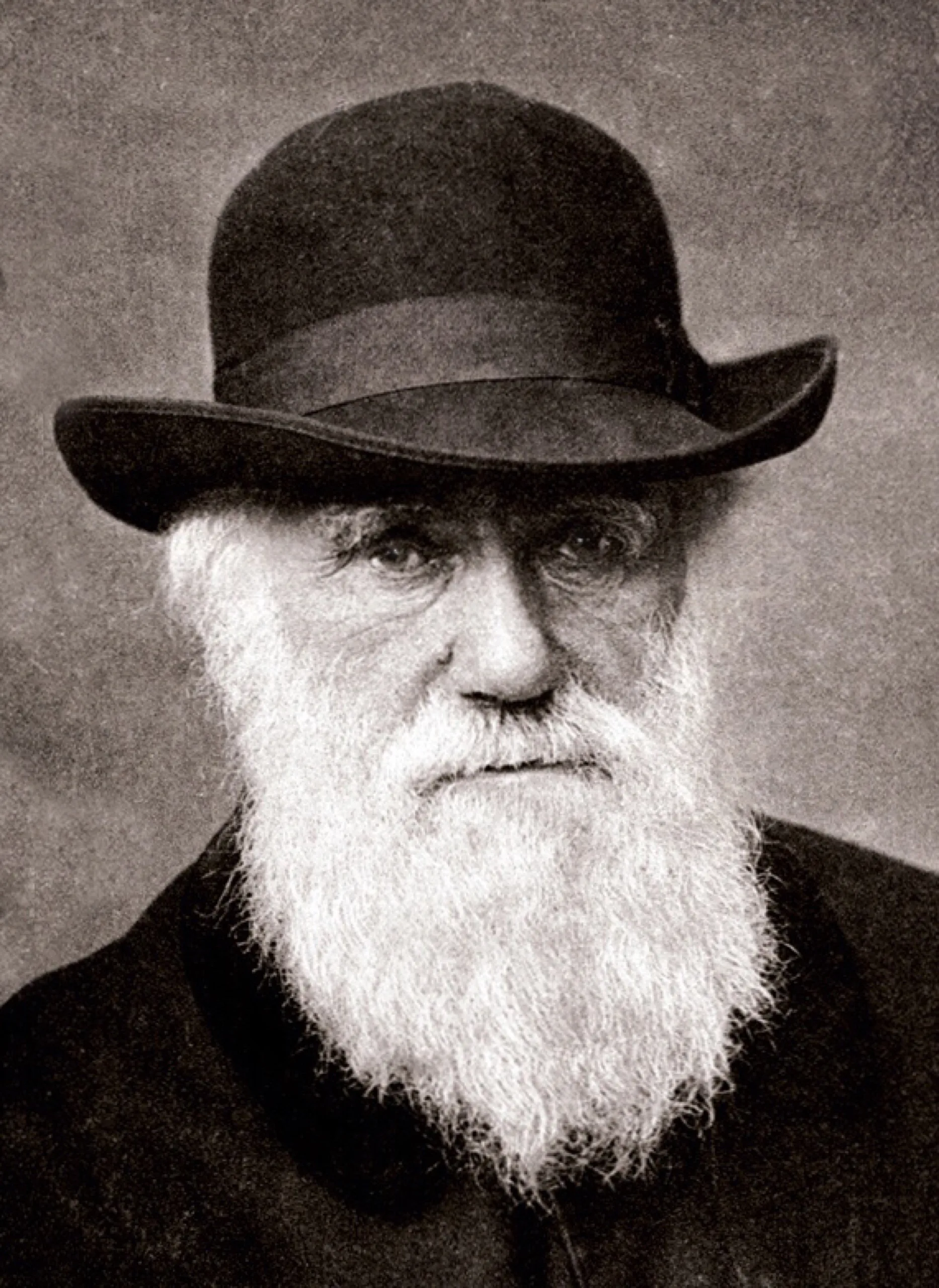 Charles Darwin in einer Fotografie von Elliott und Fry, 1881