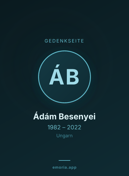 Gedenkportrait von Ádám Besenyei