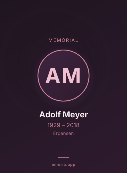 Memorial portrait of Adolf Meyer