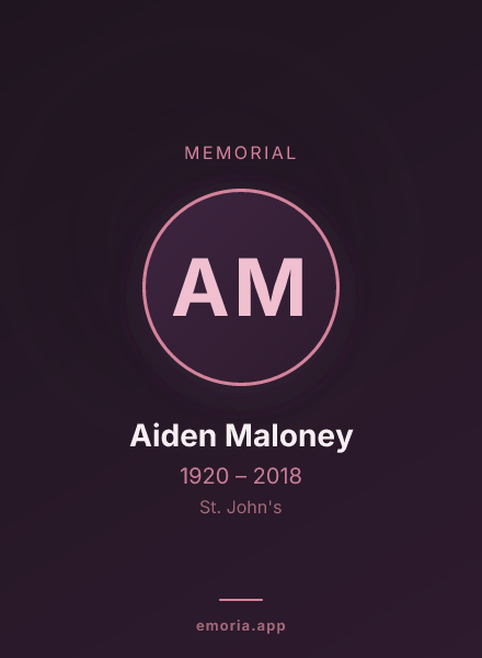 Memorial portrait of Aiden Maloney