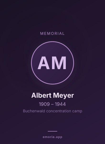Memorial portrait of Albert Meyer