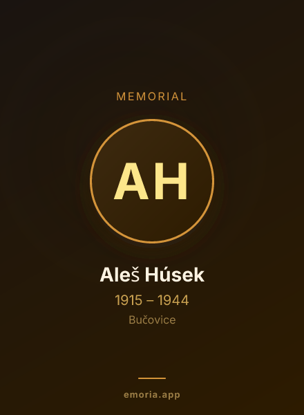 Memorial portrait of Aleš Húsek