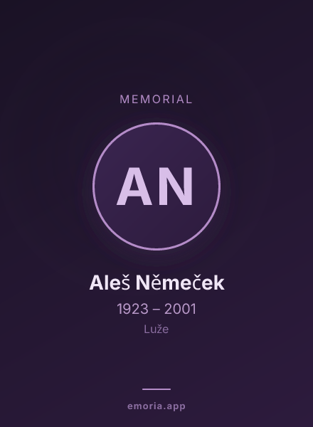 Memorial portrait of Aleš Němeček