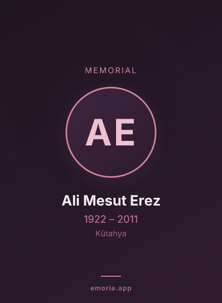 Memorial portrait of Ali Mesut Erez