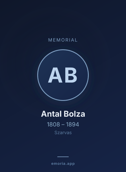 Memorial portrait of Antal Bolza