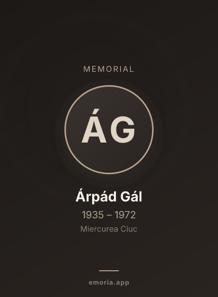 Memorial portrait of Árpád Gál