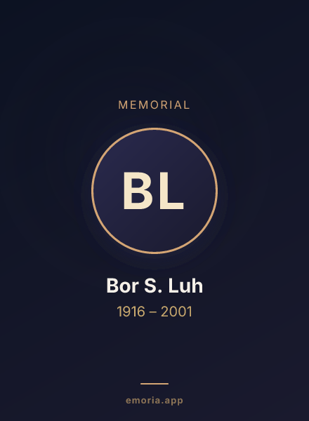 Memorial portrait of Bor S. Luh