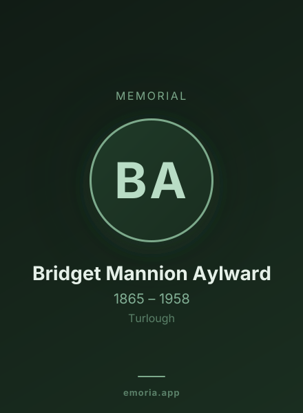 Memorial portrait of Bridget Mannion Aylward
