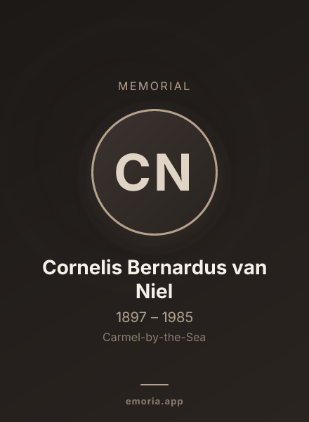 Memorial portrait of Cornelis Bernardus van Niel