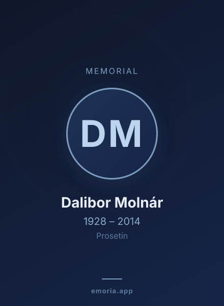 Memorial portrait of Dalibor Molnár