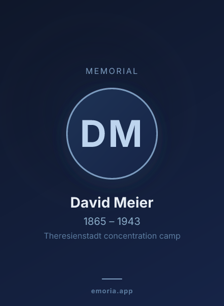 Memorial portrait of David Meier