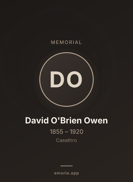 Memorial portrait of David O'Brien Owen