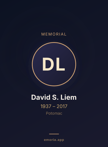 Memorial portrait of David S. Liem