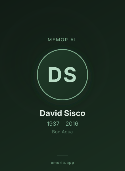 Memorial portrait of David Sisco