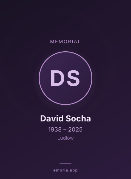 Memorial portrait of David Socha