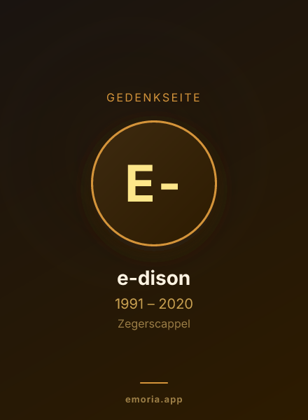 Gedenkportrait von e-dison