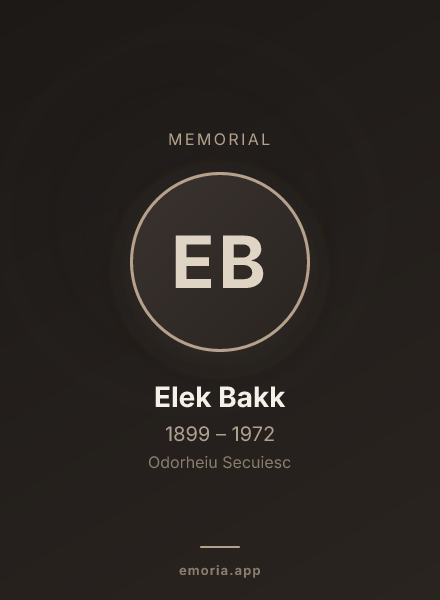 Memorial portrait of Elek Bakk