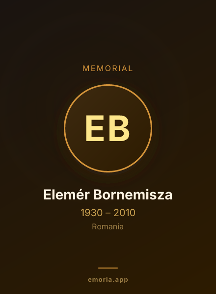 Memorial portrait of Elemér Bornemisza
