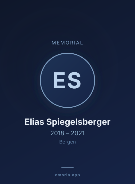 Memorial portrait of Elias Spiegelsberger
