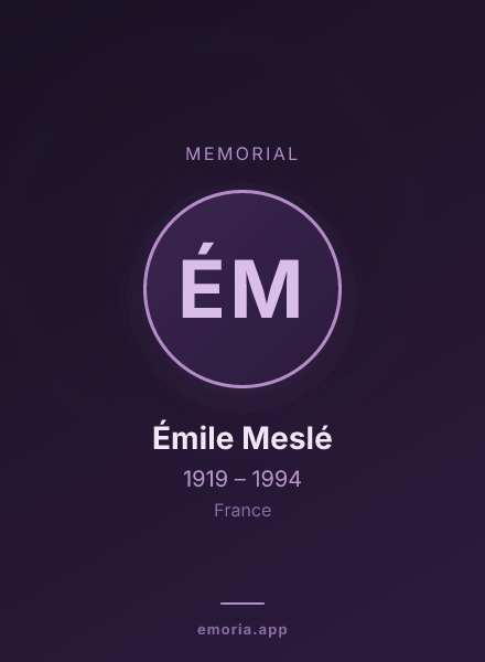 Memorial portrait of Émile Meslé
