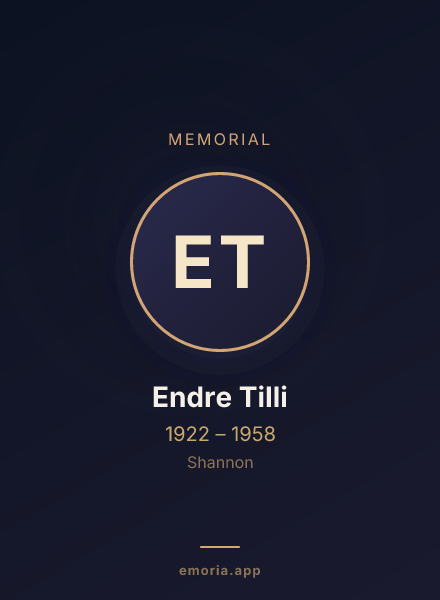 Memorial portrait of Endre Tilli