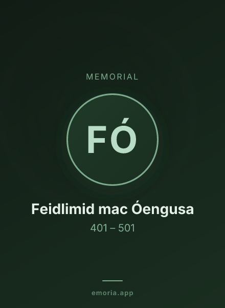 Memorial portrait of Feidlimid mac Óengusa