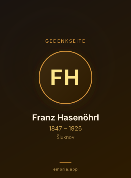 Gedenkportrait von Franz Hasenöhrl