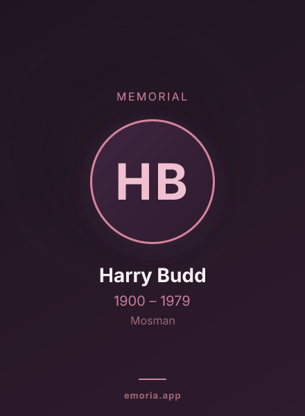 Memorial portrait of Harry Budd
