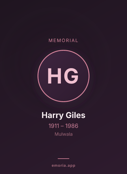 Memorial portrait of Harry Giles
