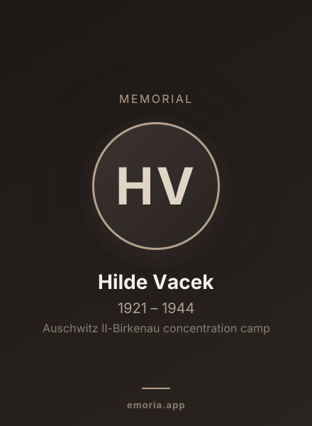 Memorial portrait of Hilde Vacek