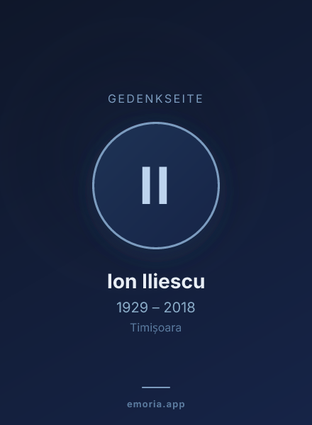 Gedenkportrait von Ion Iliescu