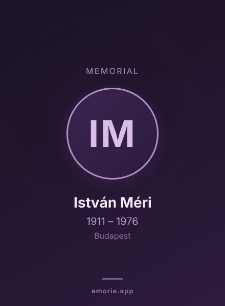 Memorial portrait of István Méri