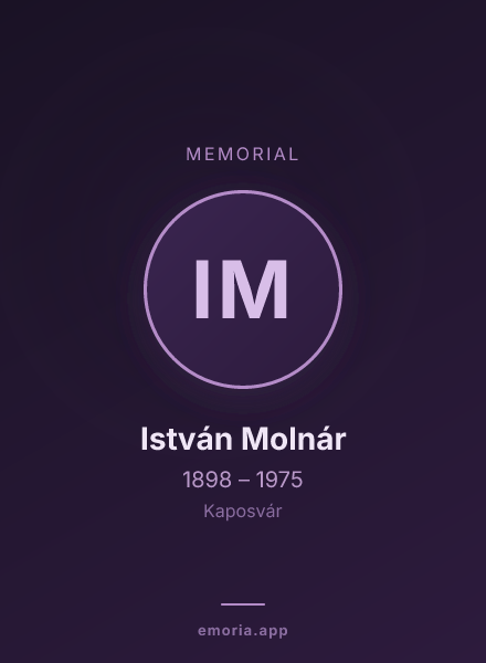 Memorial portrait of István Molnár