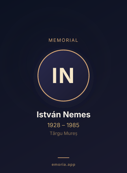 Memorial portrait of István Nemes