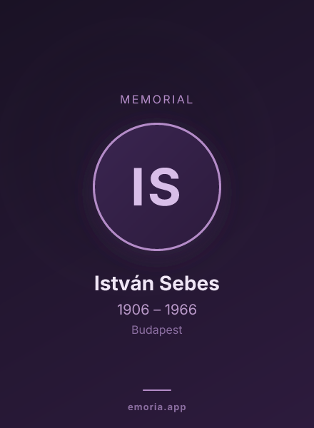 Memorial portrait of István Sebes