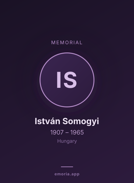 Memorial portrait of István Somogyi