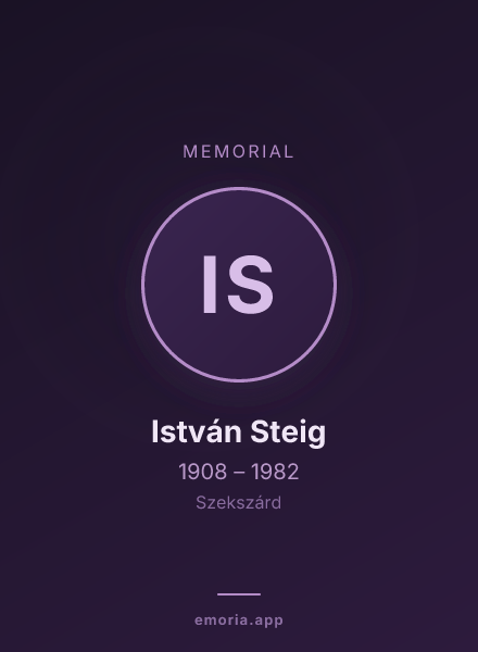 Memorial portrait of István Steig