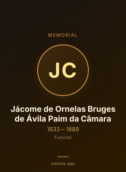 Memorial portrait of Jácome de Ornelas Bruges de Ávila Paim da Câmara
