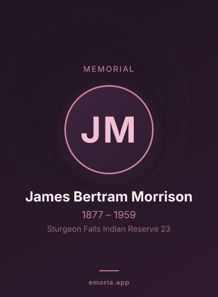 Memorial portrait of James Bertram Morrison