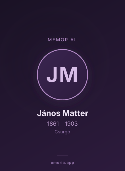 Memorial portrait of János Matter
