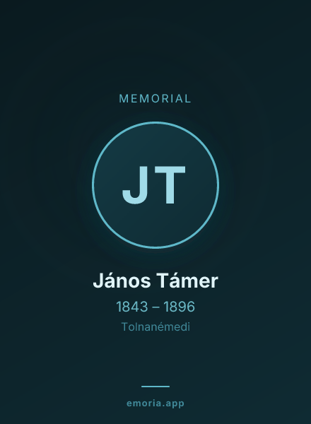 Memorial portrait of János Támer