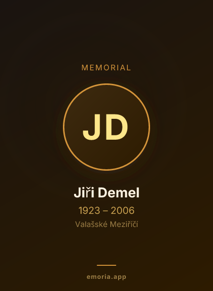 Memorial portrait of Jiři Demel