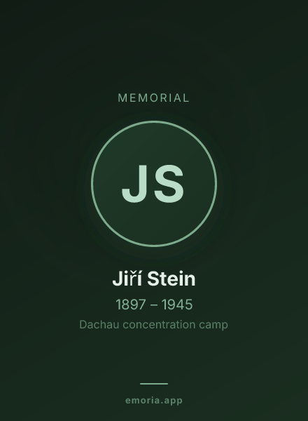 Memorial portrait of Jiří Stein