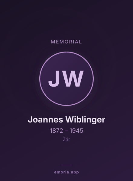 Memorial portrait of Joannes Wiblinger