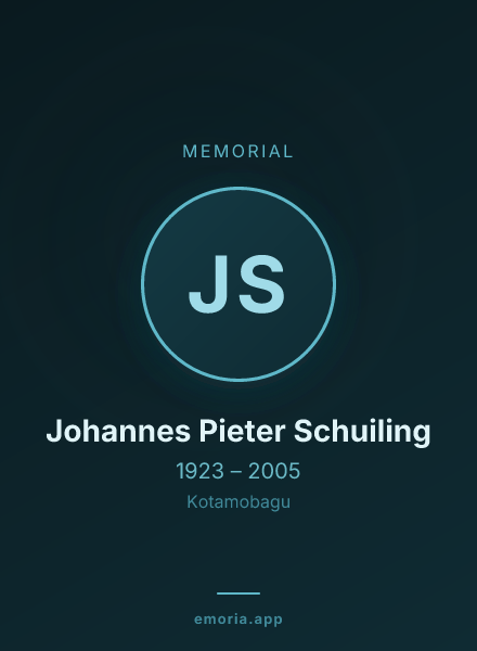 Memorial portrait of Johannes Pieter Schuiling
