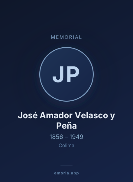Memorial portrait of José Amador Velasco y Peña