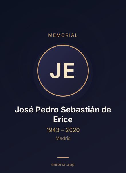 Memorial portrait of José Pedro Sebastián de Erice