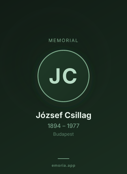 Memorial portrait of József Csillag