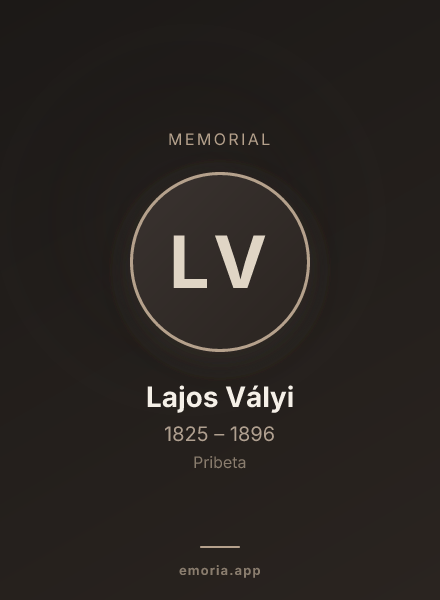 Memorial portrait of Lajos Vályi